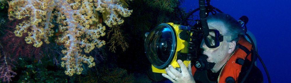 Paul and Susan Erickson's Website   Contact: paulerickson0029@gmail.com